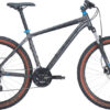 BULLS Wildtail 2 29 quantum silver