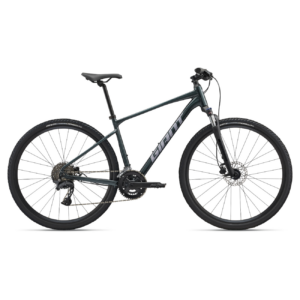 Dviratis GIANT Roam 2, asfalto žalias (M)