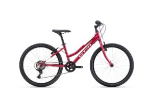 Dviratis CTM Mony 24"