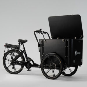 Elektrinis dviratis CARGOBIKE of SWEDEN Flex Box