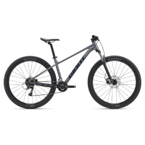 Dviratis GIANT Talon 3 (2027) 29" Skystas metalas (S)